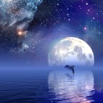 dolphin Moonstarts