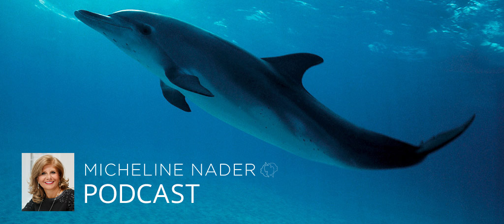 MICHELINE-NADER-PODCAST-DOLPHINS-DANCE